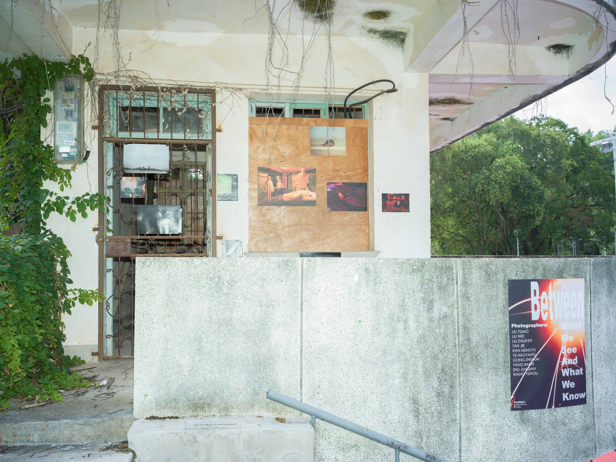 Between What We See and What We Know, installation view 1