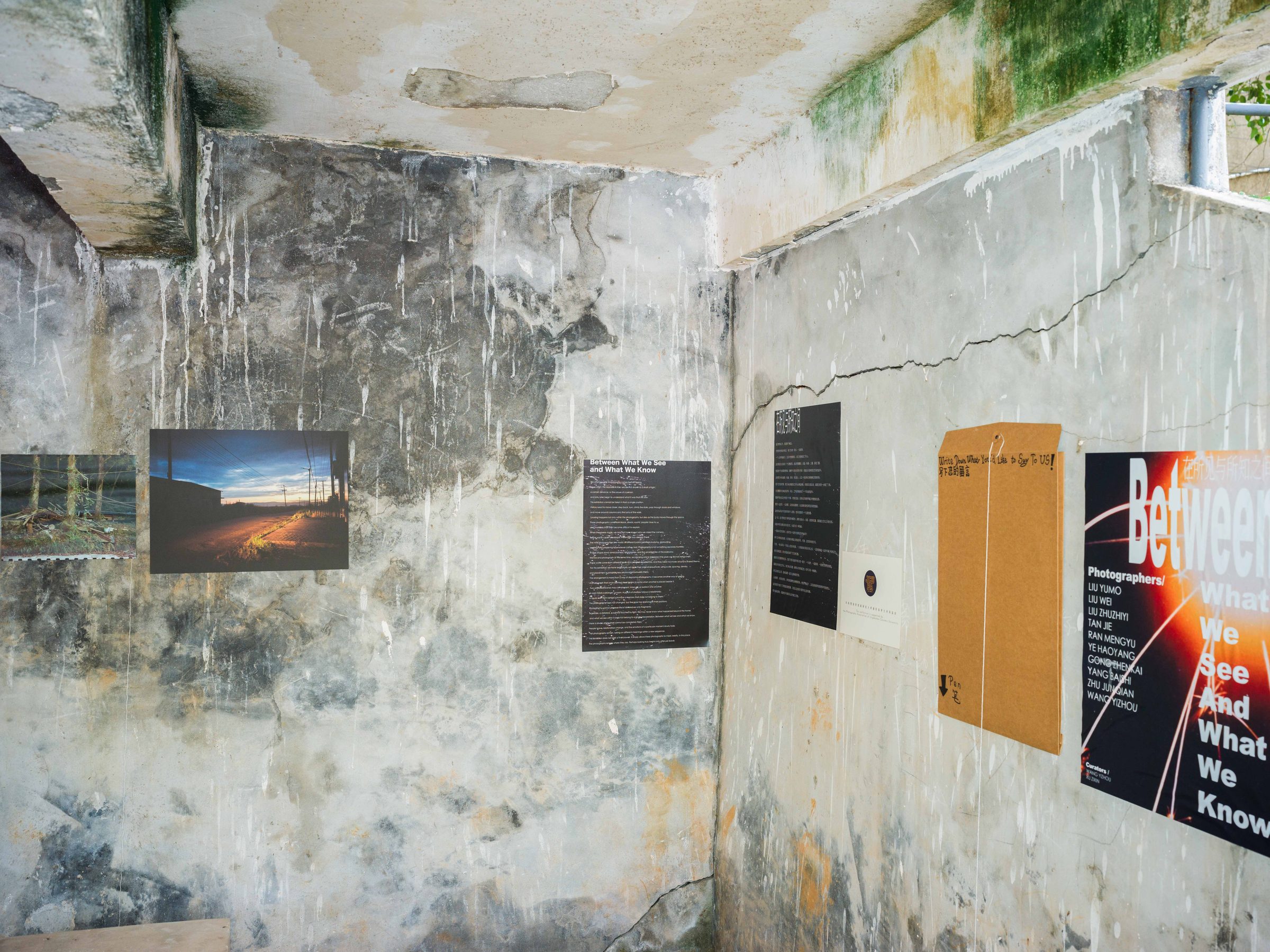Between What We See and What We Know, installation view 9