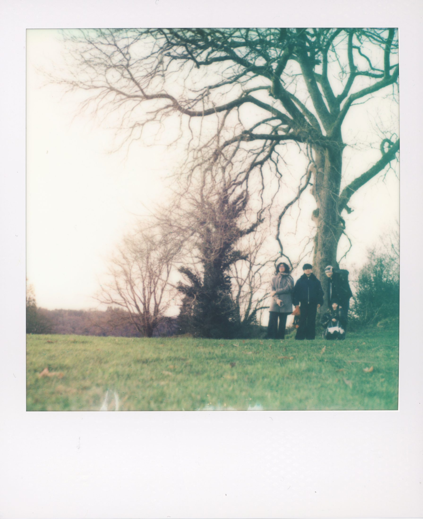 Polaroid photograph 10