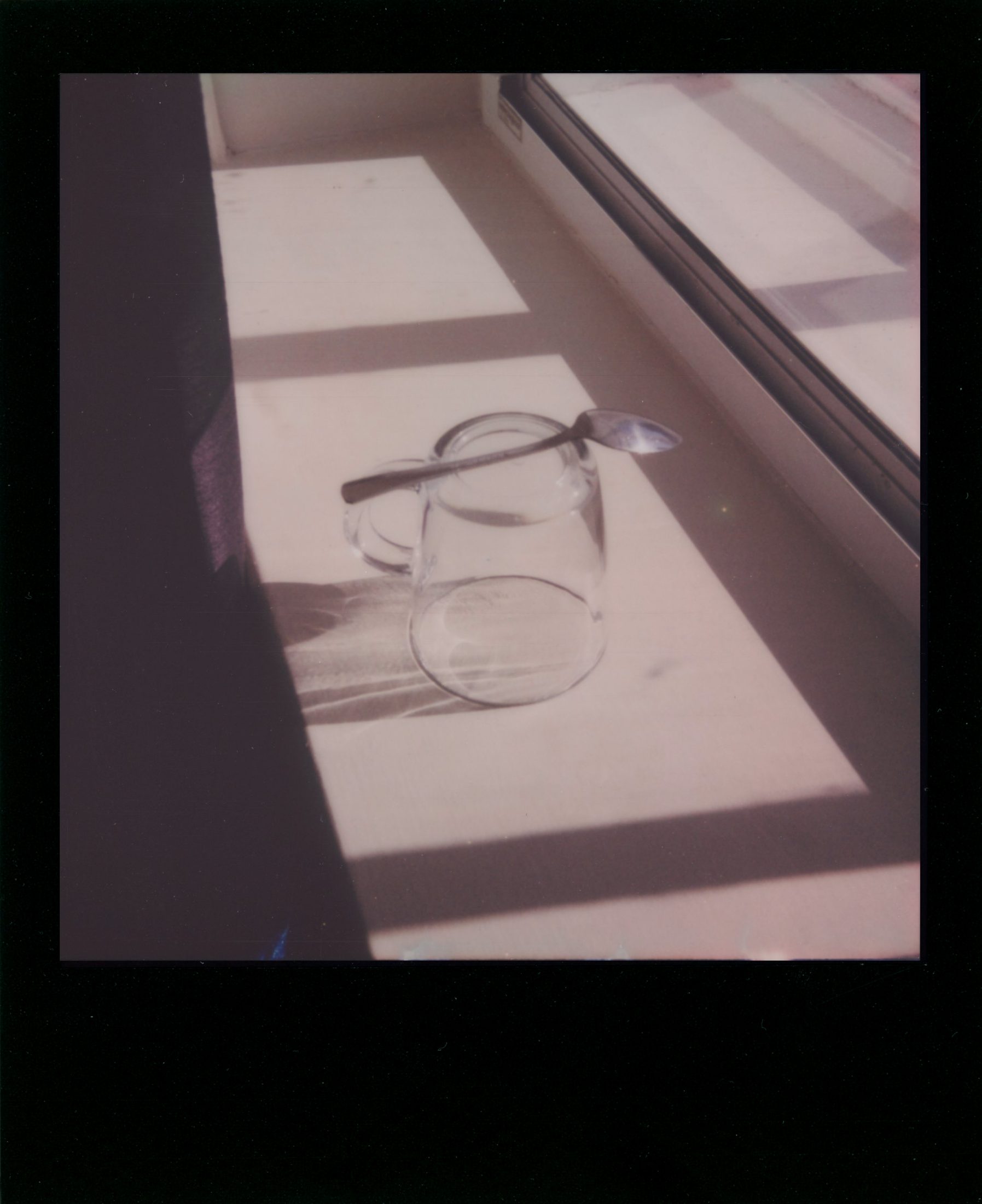 Polaroid photograph 29
