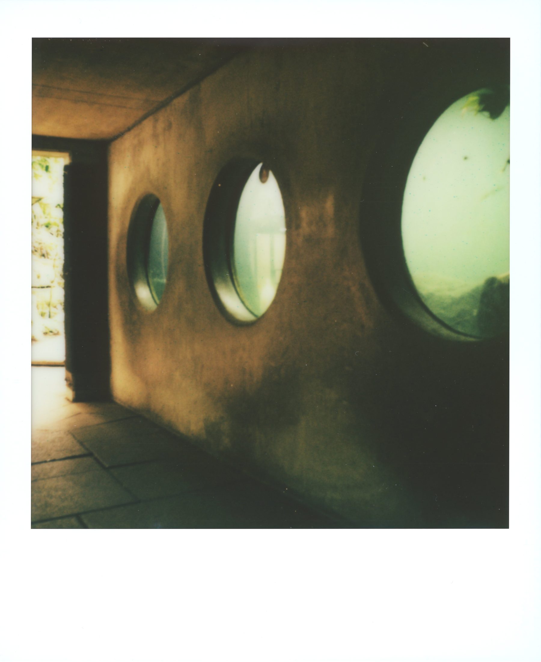 Polaroid photograph 31