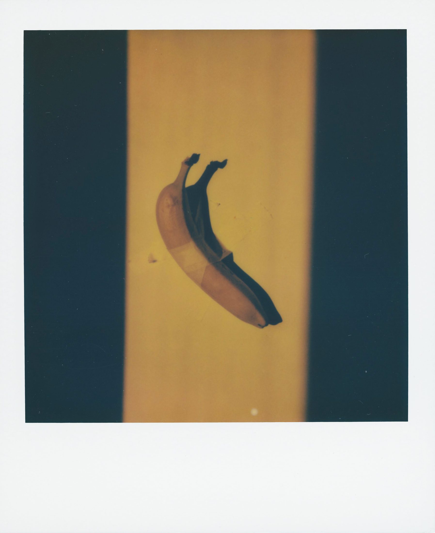 Polaroid photograph 36