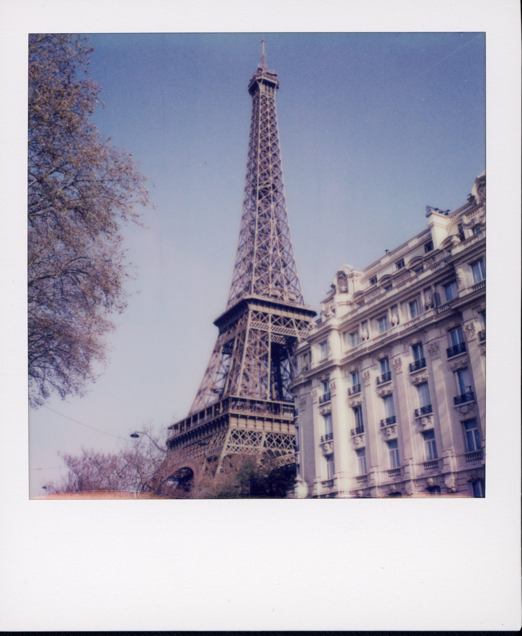 Polaroid photograph 47