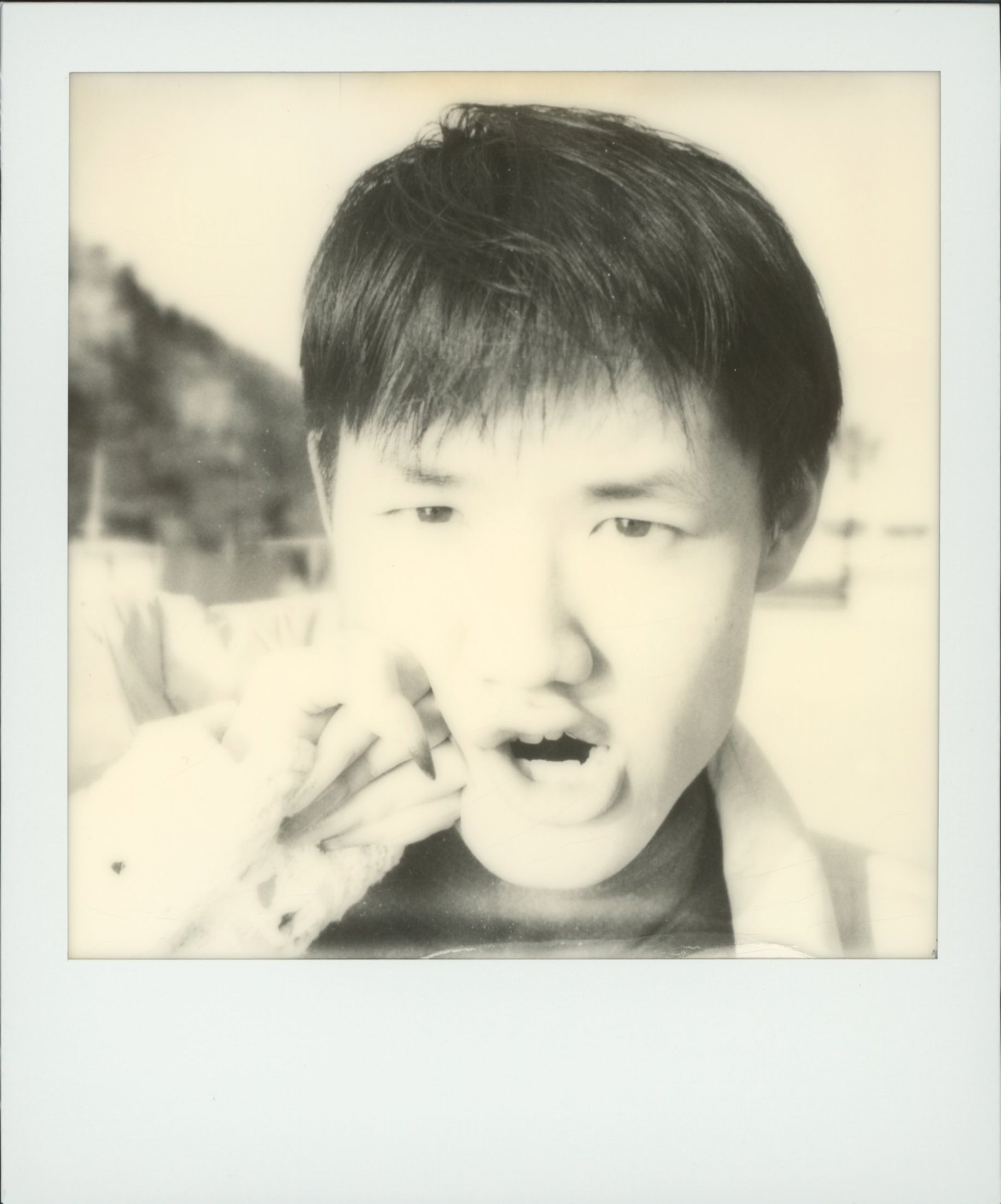 Polaroid photograph 79