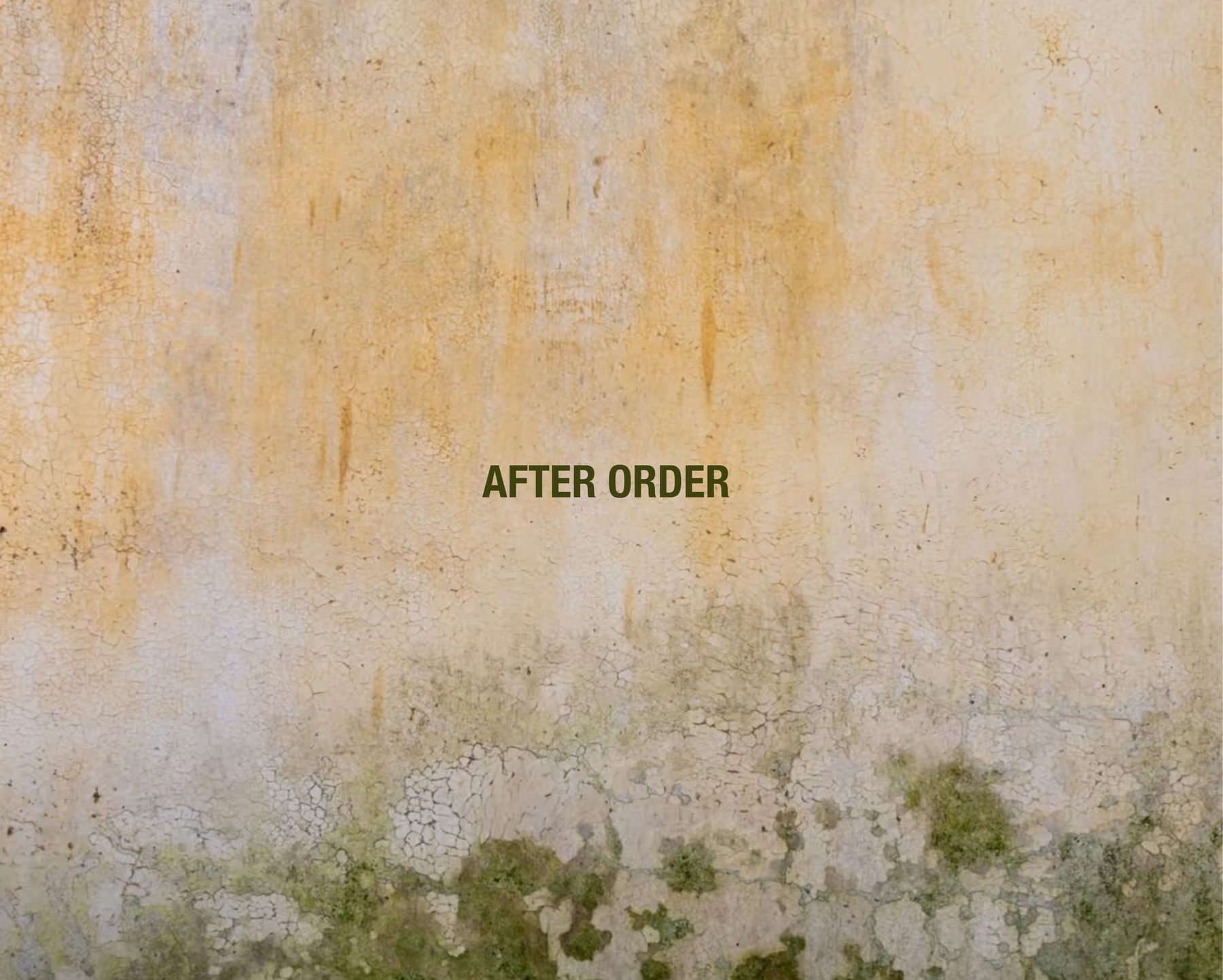Opening image for After Order