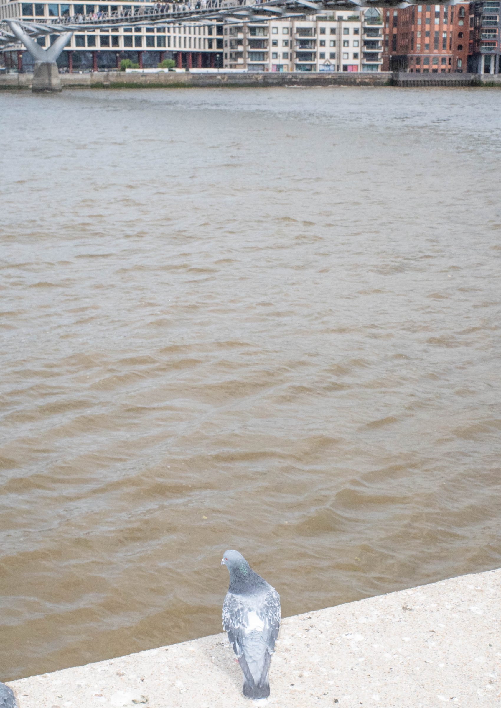 In Each Other’s Image, photograph 40