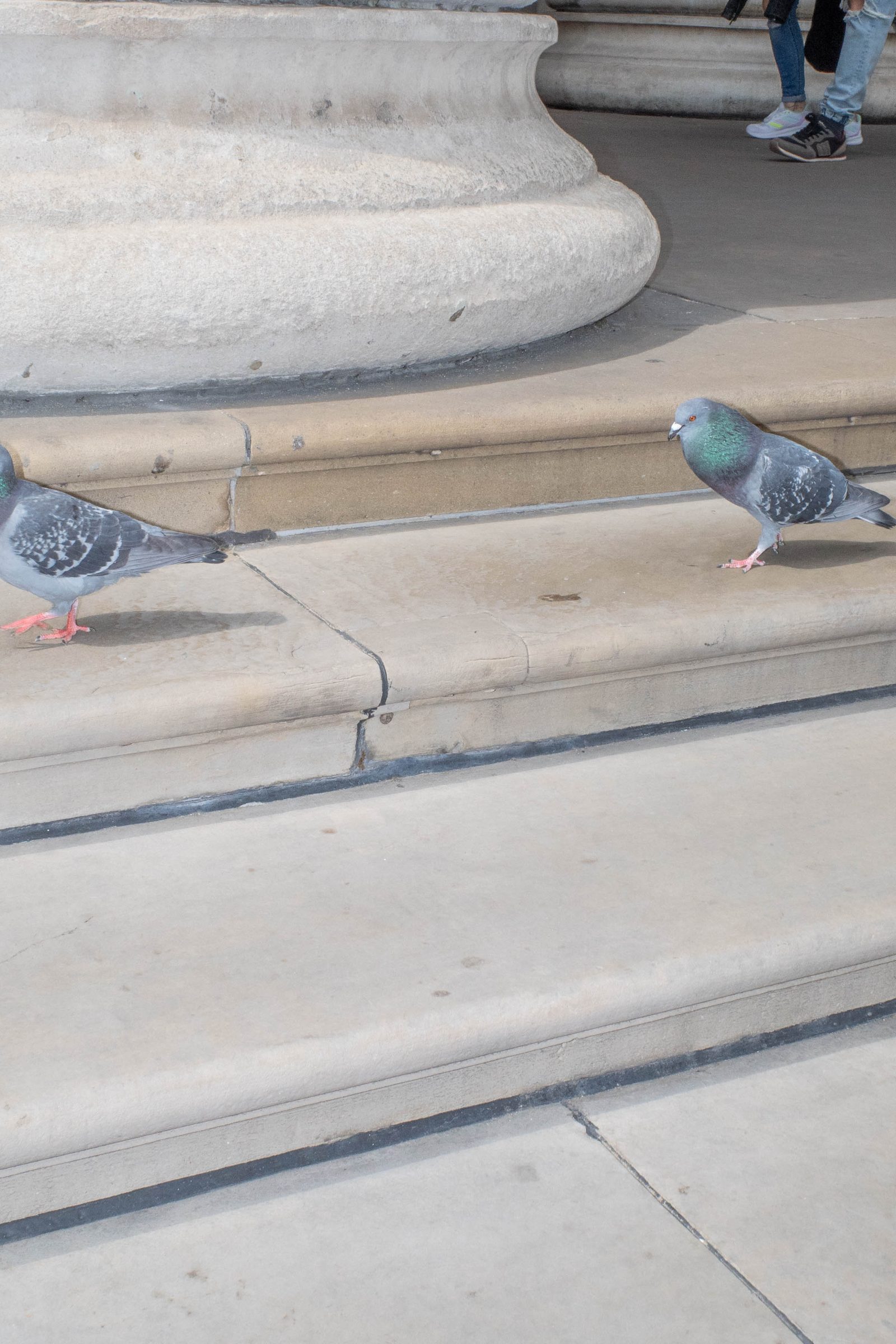 In Each Other’s Image, photograph 43