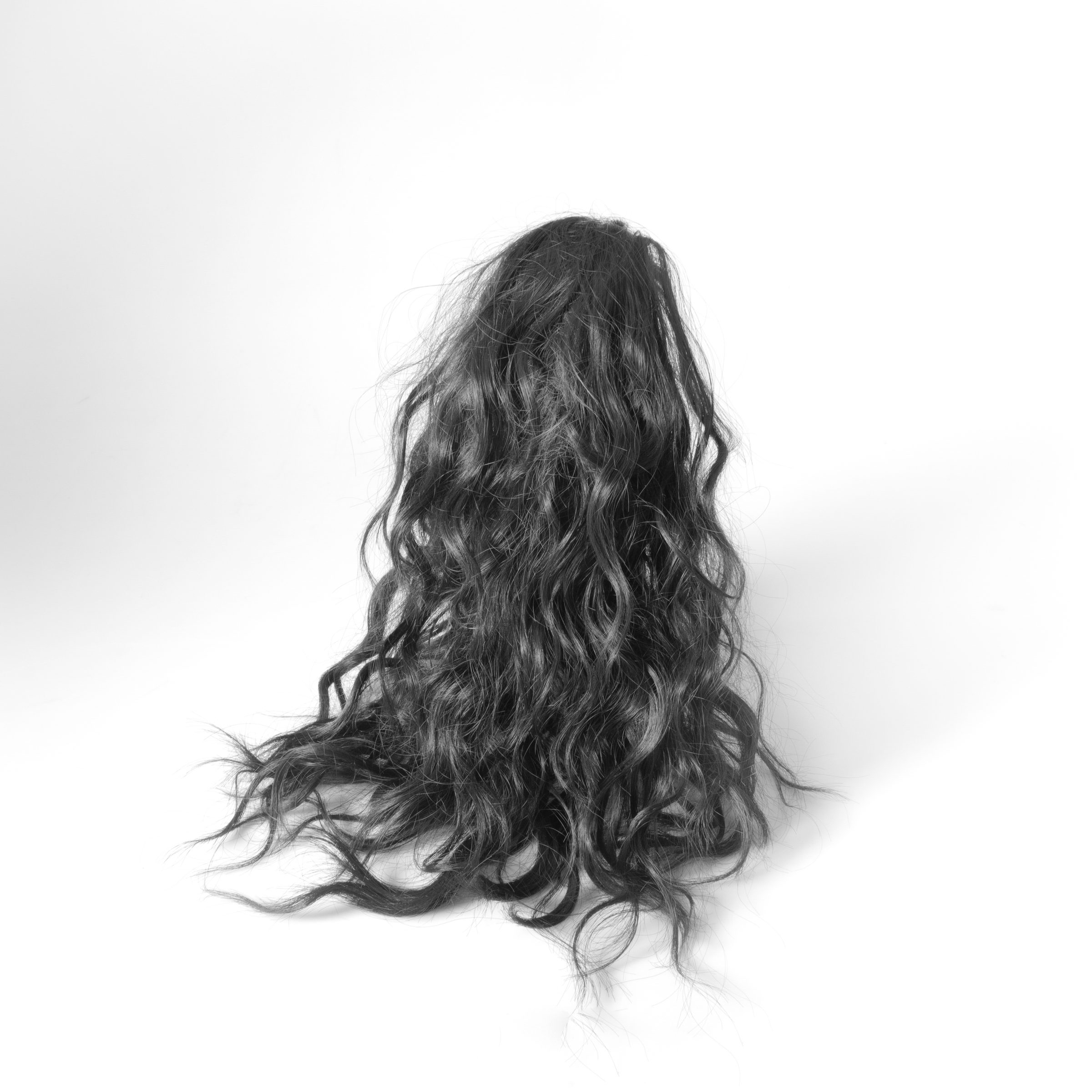 Uncut — Grow in Silence, photograph 27