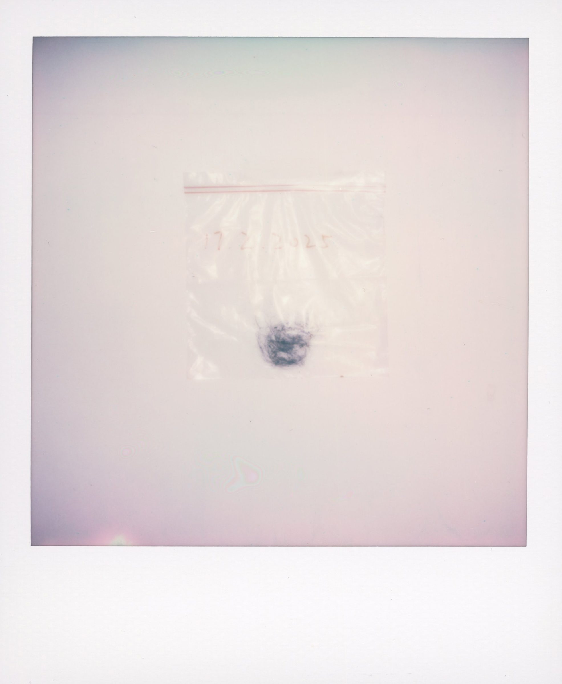 Uncut — Grow in Silence, photograph 28